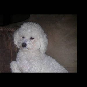 Meet your Posher, Tricia